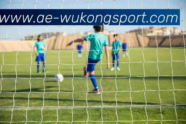 App Interface Preview