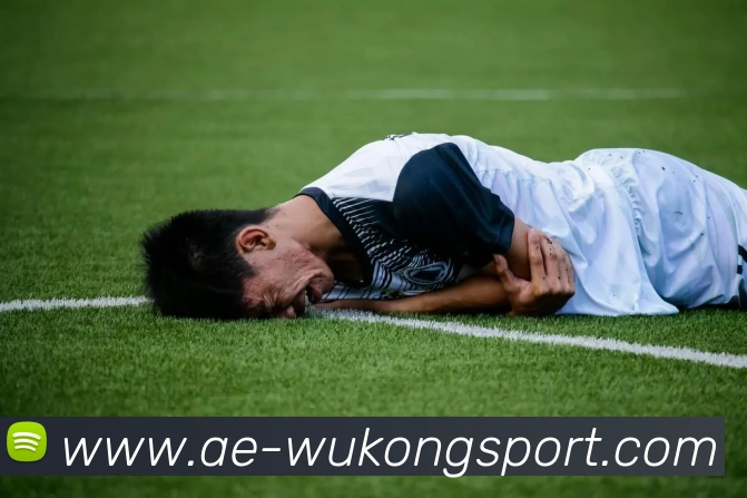 悟空体育APP 封面图