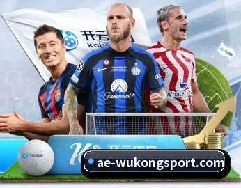 关于我们 - 体育资讯内容服务 - WukongSports