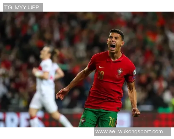 居莱尔展望未来努力助力土耳其重返世界杯舞台 居莱尔展望未来努力助力土耳其重返世界杯舞台